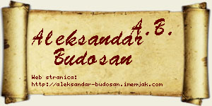 Aleksandar Budošan vizit kartica